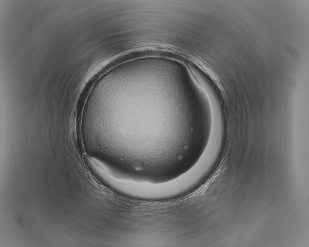 X0000110970877200907101346