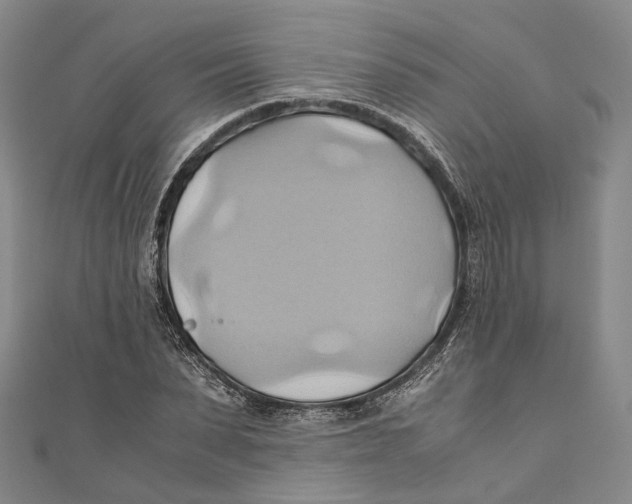 X0000110970879200907101346