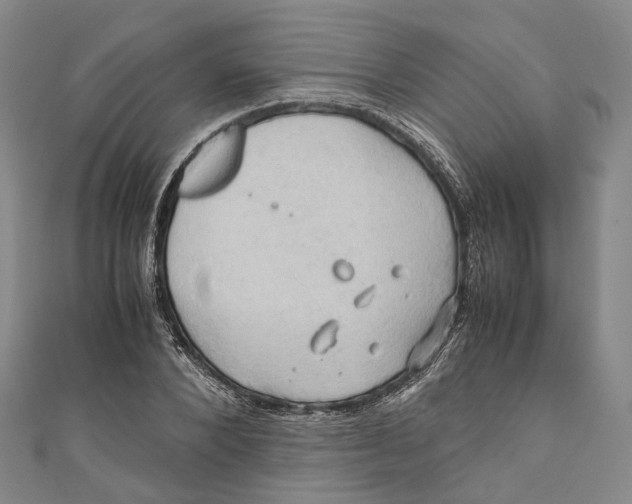 X0000110970880200907101346