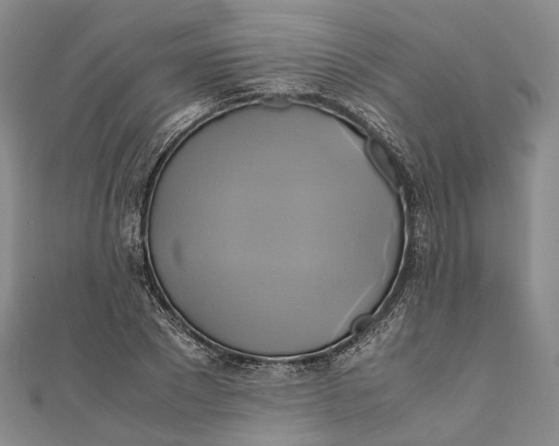 X0000110970881200907101346