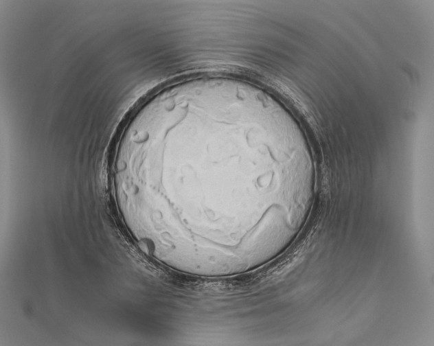 X0000110970883200907101346