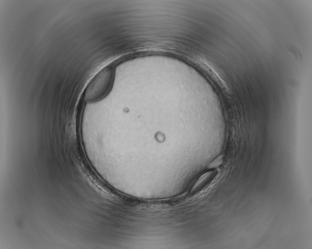 X0000110970884200907101346