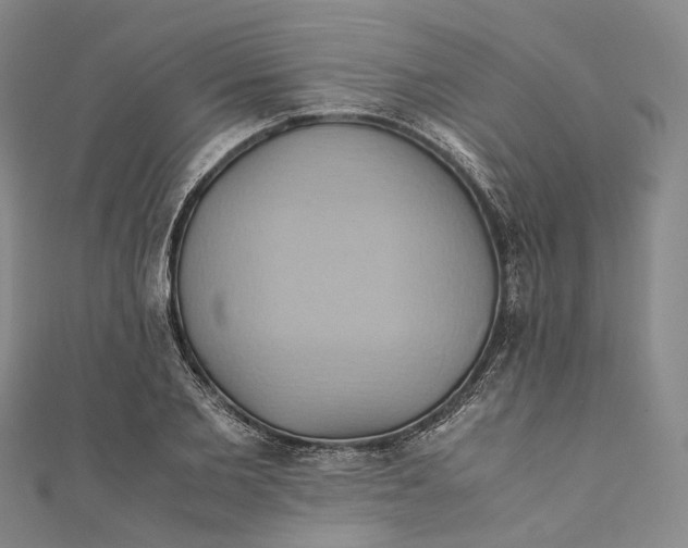 X0000110970885200907101346