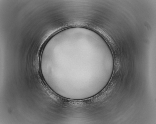 X0000110970886200907101346