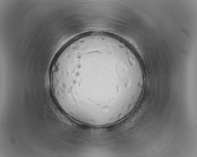 X0000110970887200907101346