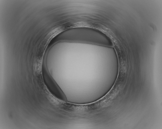 X0000110970889200907101346