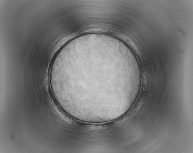 X0000110970890200907101346