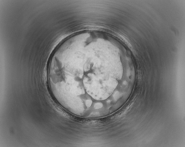 X0000110970891200907101346