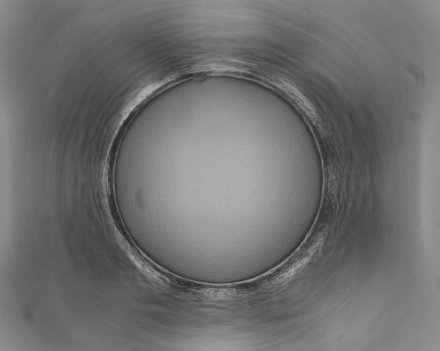 X0000110970893200907101346