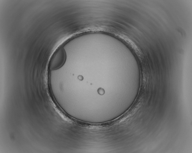 X0000110970894200907101346