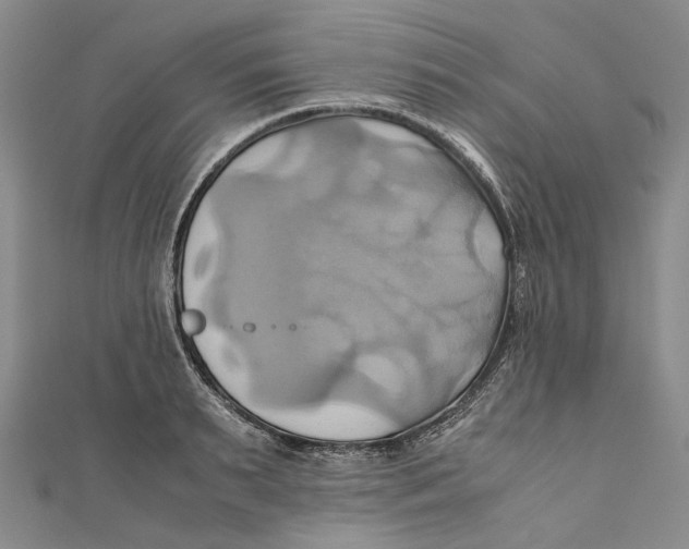 X0000110970895200907101346