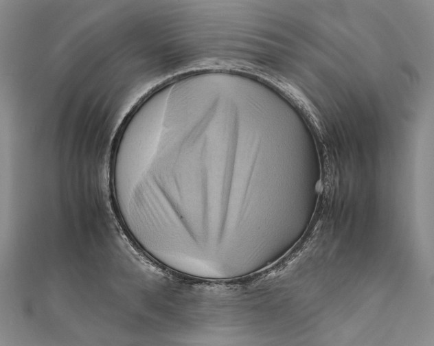 X0000110970896200907101346