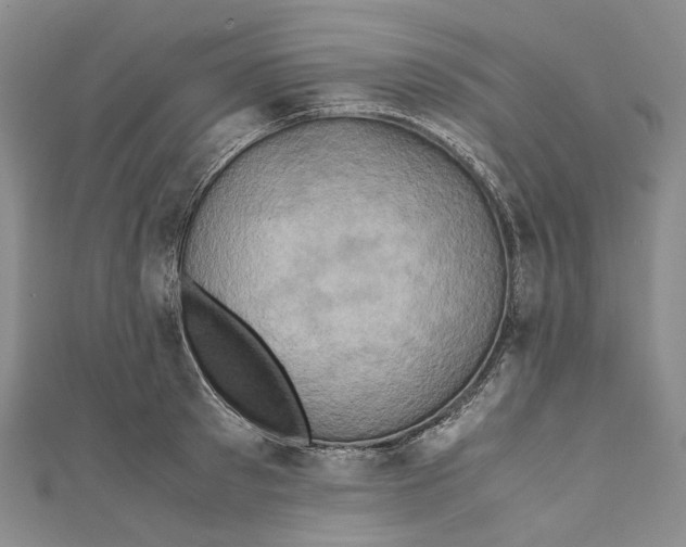 X0000110970897200907101346