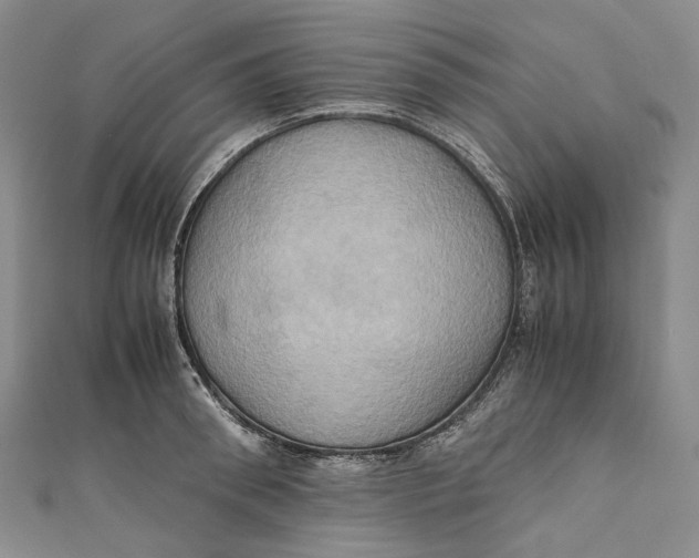 X0000110970898200907101346