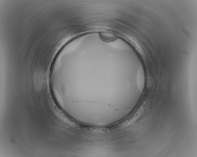 X0000110970899200907101346