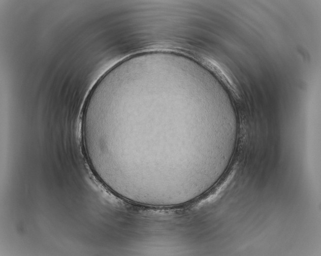 X0000110970900200907101346