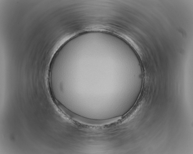 X0000110970901200907101346