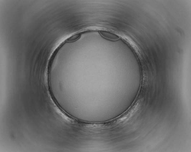 X0000110970902200907101346