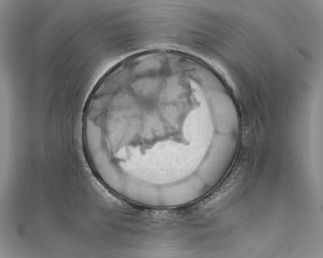 X0000110970903200907101346