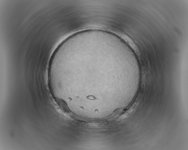 X0000110970904200907101346