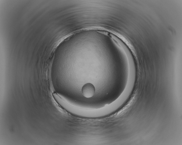 X0000110970905200907101346