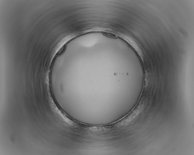 X0000110970906200907101346