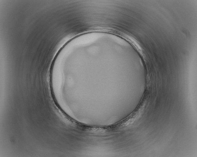 X0000110970907200907101346