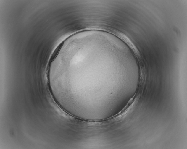 X0000110970908200907101346