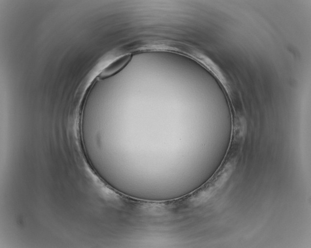 X0000110970909200907101346