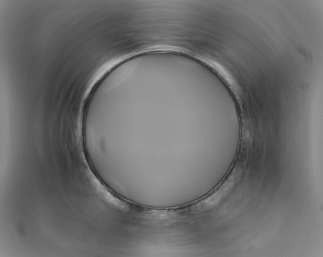 X0000110970910200907101346