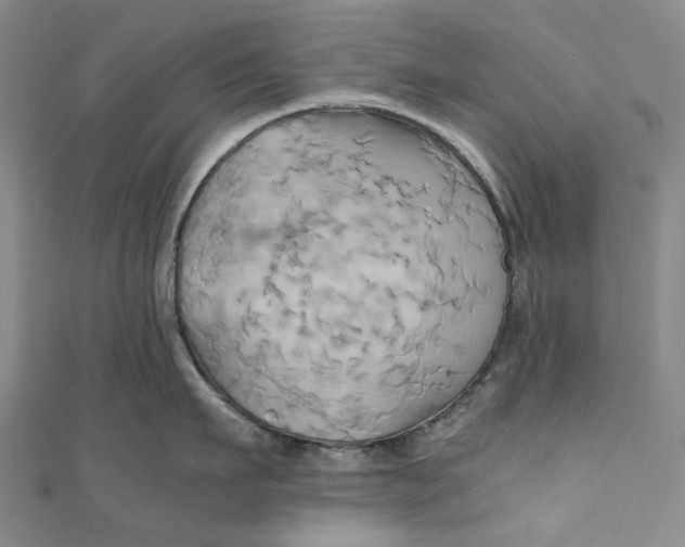 X0000110970911200907101346