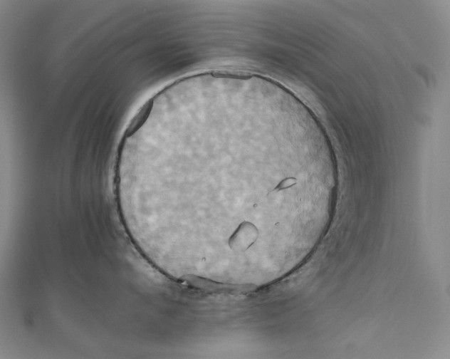 X0000110970912200907101346