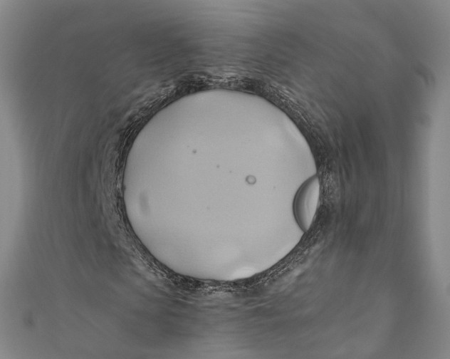 X0000110970913200907101345