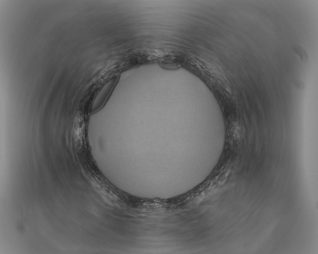 X0000110970914200907101345