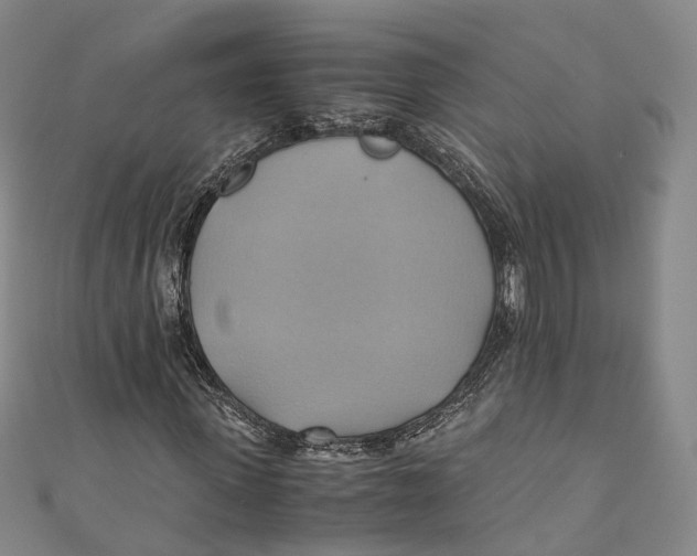 X0000110970915200907101345