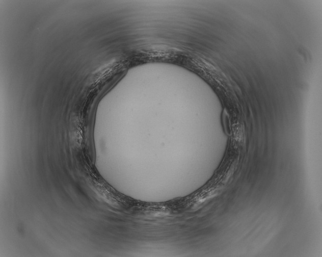 X0000110970916200907101345