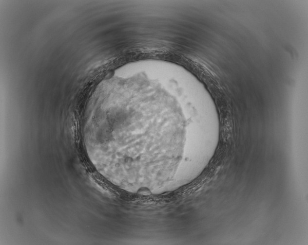 X0000110970917200907101345