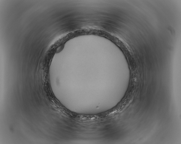 X0000110970919200907101345