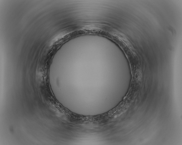 X0000110970920200907101346