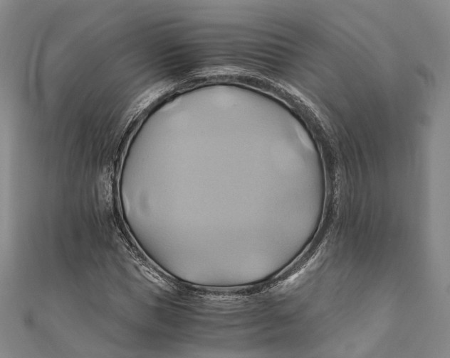 X0000110970921200907101346