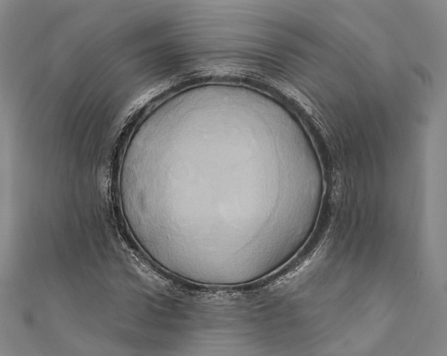 X0000110970922200907101346