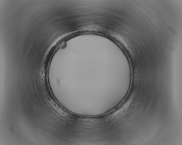 X0000110970923200907101346