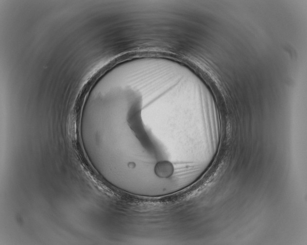 X0000110970925200907101346