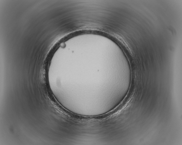 X0000110970926200907101346