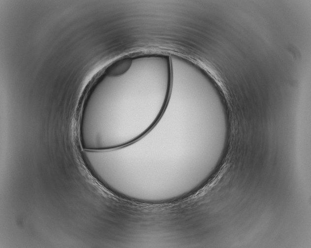 X0000110970928200907101346