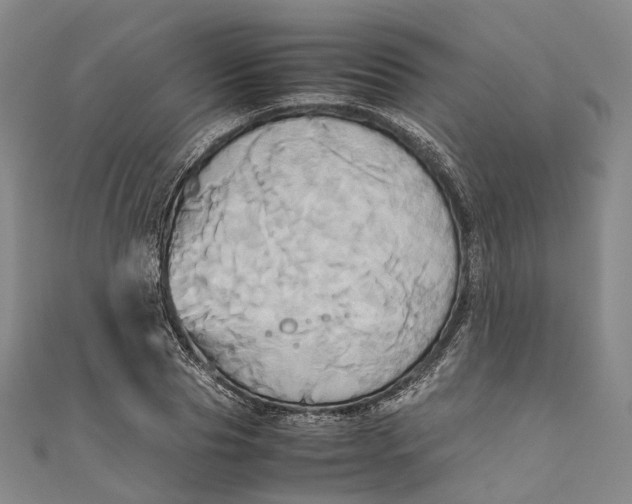 X0000110970929200907101346