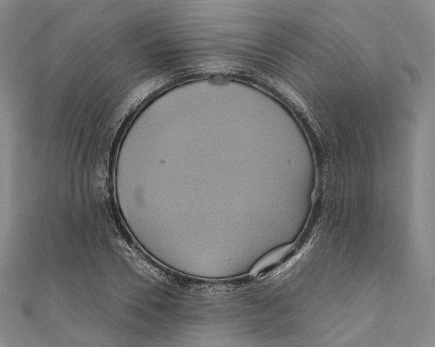 X0000110970930200907101346