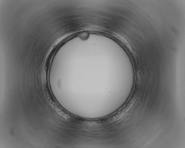 X0000110970931200907101346