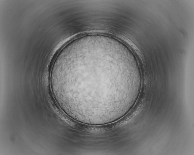 X0000110970933200907101346