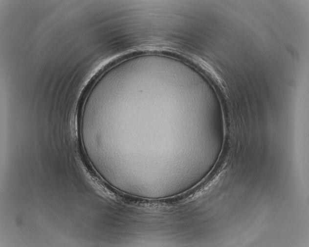 X0000110970934200907101346